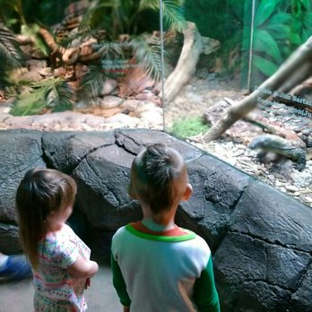 Cameron Park Zoo - Zoos Near Me - Waco, Texas