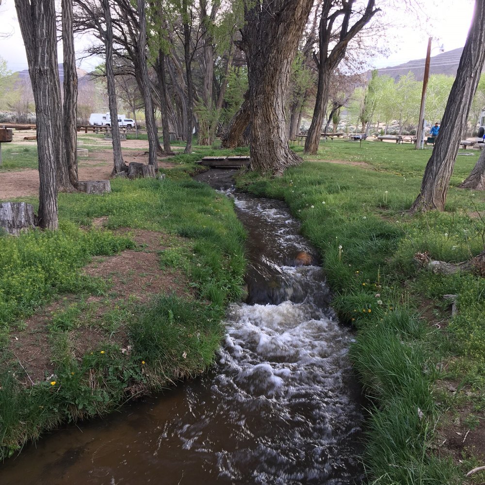 Brown's Town Campground - Letting the snow and rain clear on our way to wild flowers in the desert. Very nice spot at Browns mill pond campground. - Campgrounds Near Me - Bishop, California Brown's Town Campground - Letting the snow and rain clear on our way to wild flowers in the desert. Very nice spot at Browns mill pond campground. - Campgrounds Near Me - Bishop, California