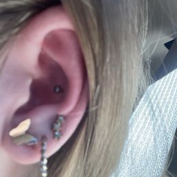 Conch Conch