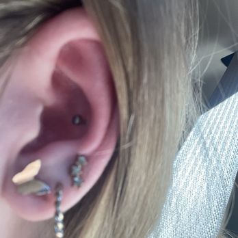 Vaughn Body Arts - Conch - Piercing Near Me - Monterey, California Vaughn Body Arts - Conch - Piercing Near Me - Monterey, California