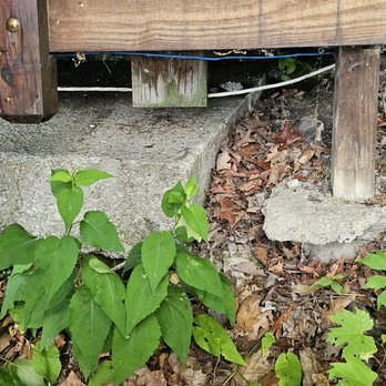 Finger Lakes Premier Properties - Unsupported stair footer, one of several - Vacation Rental Agents Near Me - Penn Yan, New York Finger Lakes Premier Properties - Unsupported stair footer, one of several - Vacation Rental Agents Near Me - Penn Yan, New York