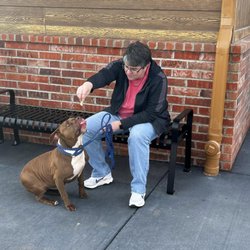 Humane Society of the Ohio Valley - Nadar demonstrating "sit" for Amy.  Many of the dogs in the shelter know basic commands.