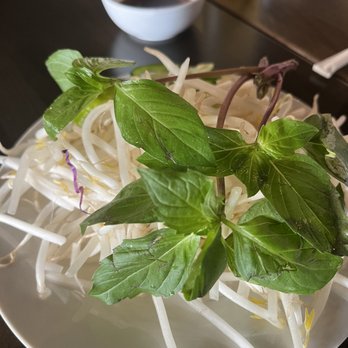Brothers Bistro - Vietnamese Near Me - Springfield, Virginia Brothers Bistro - Vietnamese Near Me - Springfield, Virginia