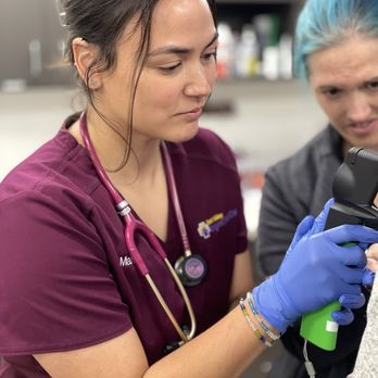 East Valley Urgent Pet Care - Veterinarians Near Me - Mesa, Arizona East Valley Urgent Pet Care - Veterinarians Near Me - Mesa, Arizona