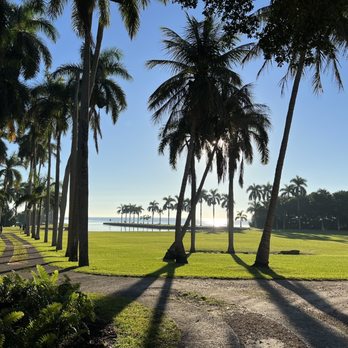 Deering Estate - Views inside Deering estate - Museums Near Me - Miami, Florida