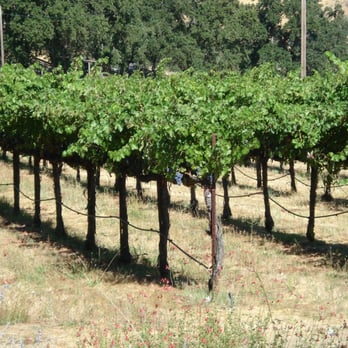 Nelson Family Vineyards - Wineries Near Me - Ukiah, California Nelson Family Vineyards - Wineries Near Me - Ukiah, California