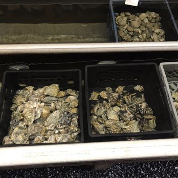 Buck Bay Shellfish Farm - Seafood Markets Near Me - Olga, Washington Buck Bay Shellfish Farm - Seafood Markets Near Me - Olga, Washington