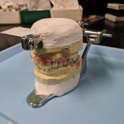 Eugene's Dental Lab - Untitled