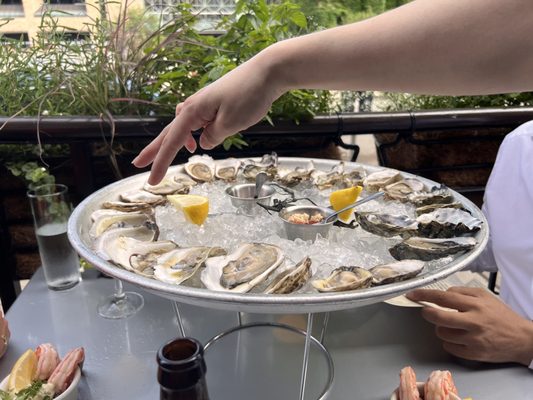 Tempest Oyster Bar by null