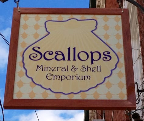 Shell Emprium SCALLOPS MINERAL & SHELL EMPORIUM - Updated June 2026 - 13 Reviews - 65 ...