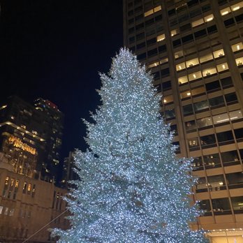 Hyatt Regency Chicago - Beautiful tree - Hotels Near Me - Chicago, Illinois Hyatt Regency Chicago - Beautiful tree - Hotels Near Me - Chicago, Illinois