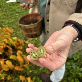 Skipley Farm - Nurseries & Gardening Near Me - Snohomish, Washington