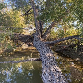 North Lakes Park - Parks Near Me - Denton, Texas