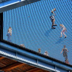 Malahat Skywalk - The Skywalk