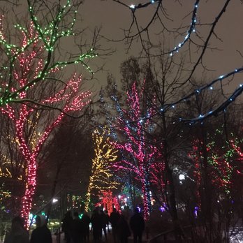 Zoolights - Local Flavor Near Me - Chicago, Illinois