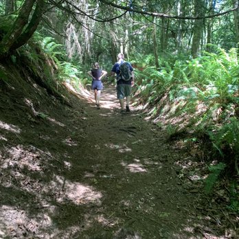 Anderson Landing Preserve - Trail uphill - Parks Near Me - Silverdale, Washington Anderson Landing Preserve - Trail uphill - Parks Near Me - Silverdale, Washington