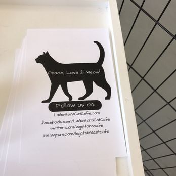 PHX Cat Cafe - Pet Adoption Near Me - Phoenix, Arizona PHX Cat Cafe - Pet Adoption Near Me - Phoenix, Arizona