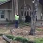 Photo of A - Z Wright's Tree Service