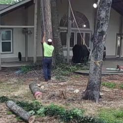 A - Z Wright's Tree Service