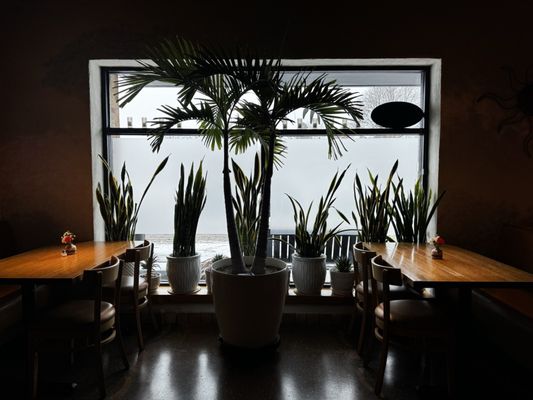 Maya Cocina Mexicana by null