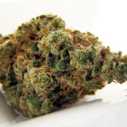 Natures Breath Collective - Banana OG
