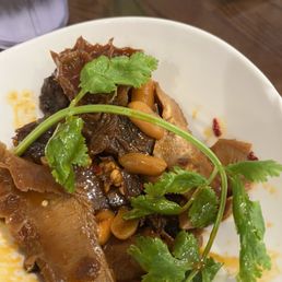 Beef and tripe Beef and tripe