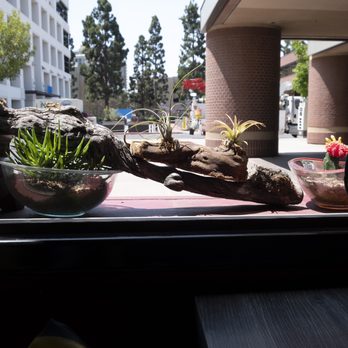 Nozomi - Sushi Bars Near Me - La Jolla, California Nozomi - Sushi Bars Near Me - La Jolla, California