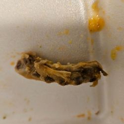 user provided From The City photo