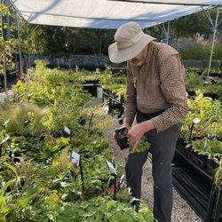 Homegrown - The very knowledgeable owner