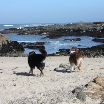 Bean Hollow State Beach - Beaches Near Me - Pescadero, California