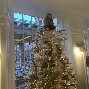 The Carolina Inn - Destination by Hyatt - The Christmas tree in the tea room - Hotels Near Me - Chapel Hill, North Carolina The Carolina Inn - Destination by Hyatt - The Christmas tree in the tea room - Hotels Near Me - Chapel Hill, North Carolina