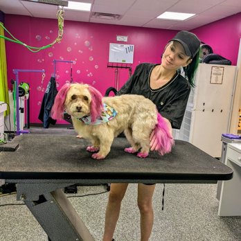 Doggy Style Salon - Pet Groomers Near Me - Denver, Colorado Doggy Style Salon - Pet Groomers Near Me - Denver, Colorado