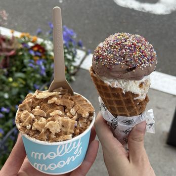 Molly Moon's - Ice Cream & Frozen Yogurt Near Me - Seattle, Washington Molly Moon's - Ice Cream & Frozen Yogurt Near Me - Seattle, Washington