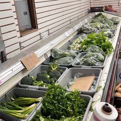 All Fresh Market
