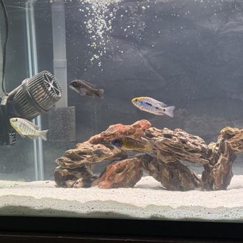 Wet Pets - Pet Stores Near Me - Moreno Valley, California