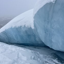 Great Alaskan Tourist Trap