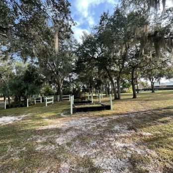 Black Prong - Horse Boarding Near Me - Bronson, Florida Black Prong - Horse Boarding Near Me - Bronson, Florida