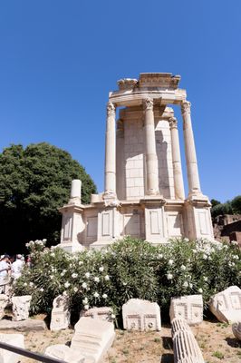Roman Forum by null