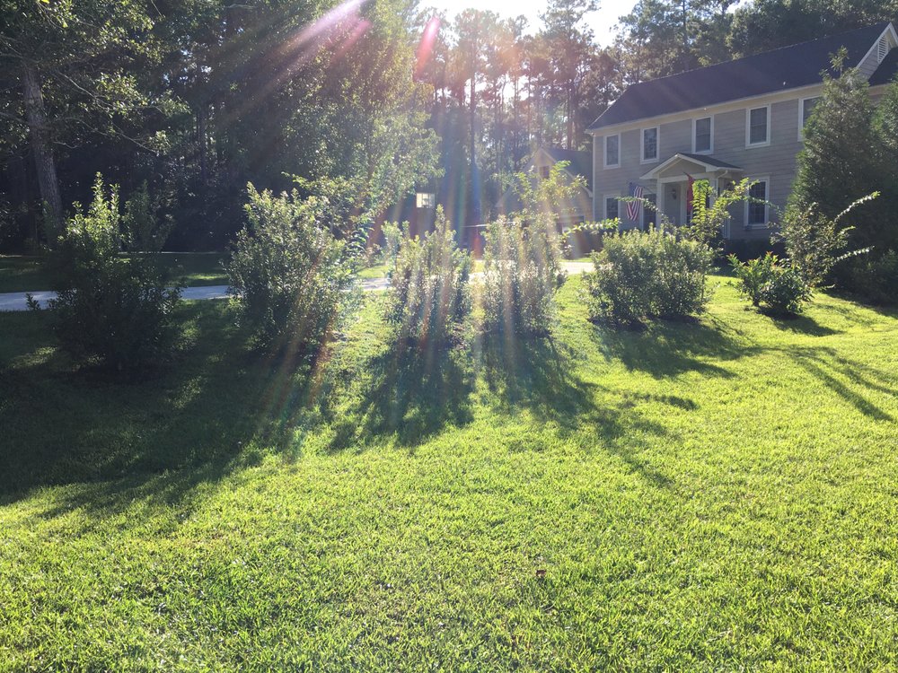 BLUE SKIES LANDSCAPING Hubert, North Carolina Landscaping Phone