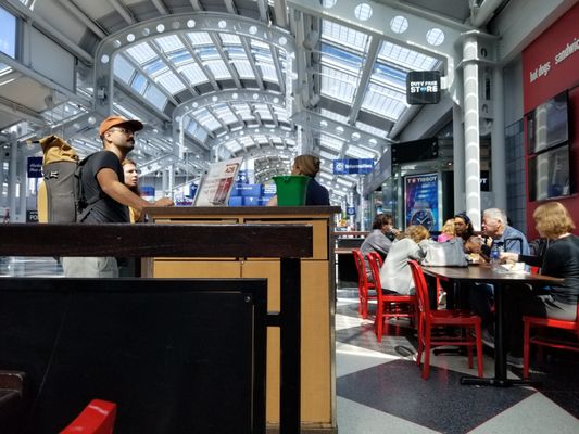 America's Dog by null