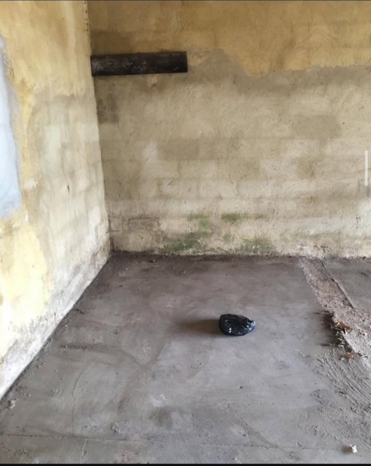 Slide of Community Wealth Group Economics