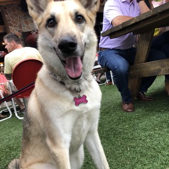 The Porch - Sports Bars Near Me - Phoenix, Arizona