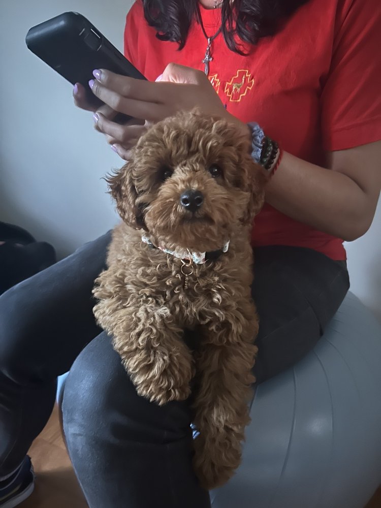 ALL PAWS VETERINARY CENTER Updated August 2024 10 Photos & 22 Reviews 9554 Crain Hwy