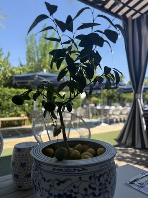 Holiday House Palm Springs by null