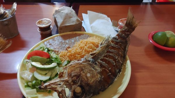 Tijuana Restaurant by null