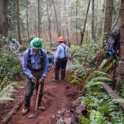 Washington Trails Association - Volunteers improving on a trail.