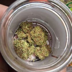 Hibernica Dispensary - Haze