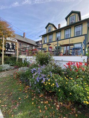 2 Cats Bar Harbor by null