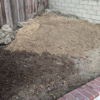 Octavio's Tree Service - Tree Services Near Me Octavio's Tree Service - Tree Services Near Me