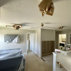 Pristine Painting - Prep for paint and custom shelving install